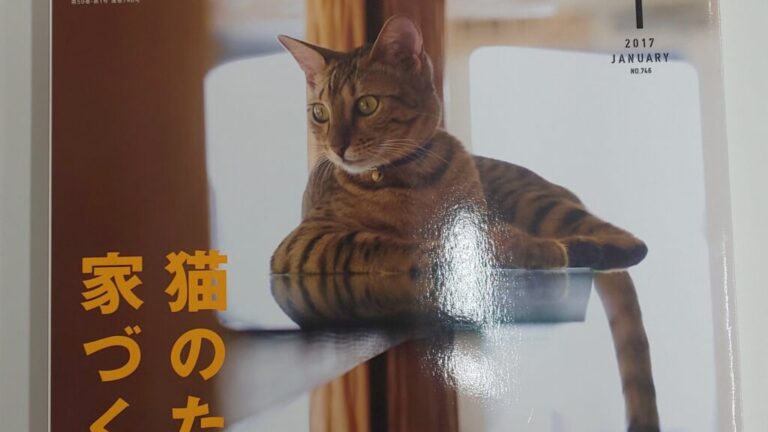 猫のための家づくり ネオホーム熊本 猫のための家づくり ネオホーム熊本